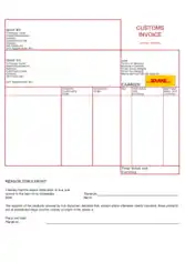Free Customs Invoice Example Template