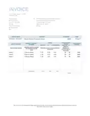 Standard Invoice Example Template