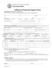 Financial Support Affidavit Form Template