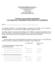 Prenuptial Agreement Financial Disclosure Form Template