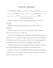 Blank Prenuptial Agreement Form Template