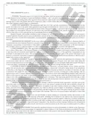 Legal Prenuptial Agreement Form in PDF Template