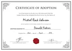 Printable Adoption Certificate Template