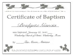 Generic Baptismal Certificate Template