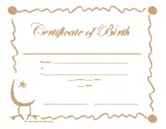 Birth Certificate Application Sample Template
