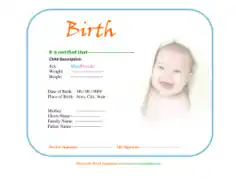 Free Download PDF Books, Child Birth Certificate Template