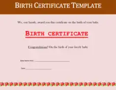 Free Download PDF Books, Editable Birth Certificate Template
