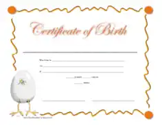 Free Download PDF Books, Old Birth Certificate Template