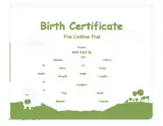 Free Download PDF Books, Sample Birth Certificate Cartoon Template