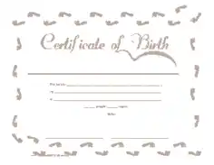 Simple Birth Certificate Application Template
