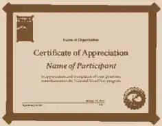 Organizational Certificate of Appreciation Template