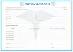 Example Confirmatory Medical Certificate Template