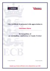 Free Download PDF Books, Cricket Volunteer Certificate Template