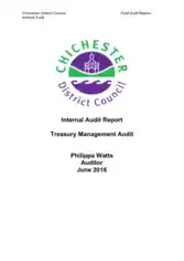 Treasury Management Audit Report Sample Template