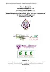 Waste Management Environmental Audit Report Template