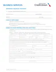 Business Services Individual Financial Statement Form Template