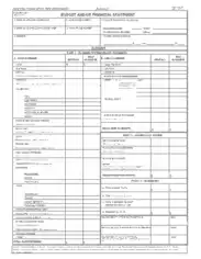 Budget and Financial Budget Statement Template
