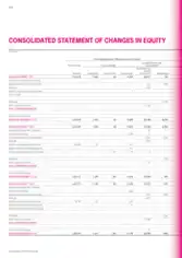 Consolidated Statement of Changes in Equity Template