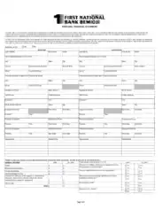 First National Personal Financial Statement Form Template