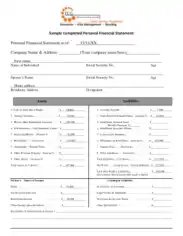Sample Completed Personal Financial Statement Template