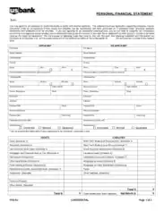 Sample Personal Financial Statement Template