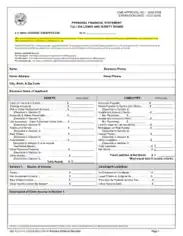 SBA Personal Financial Statement Form Template