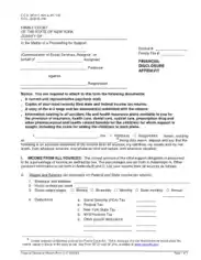 Financial Disclosure Affidavit Form Template