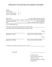 Free Download PDF Books, Affidavit of No Social Security Number Statement Template