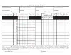Certified Payroll Form Example Template