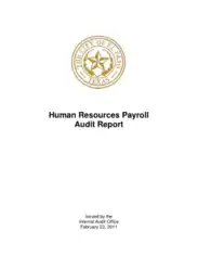 Human Resources Payroll Audit Report Template
