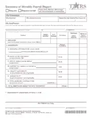Summary of Monthly Payroll Report Template