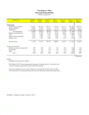 Operating Budget Results Template