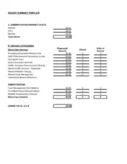 Example Of Budget Summary Template