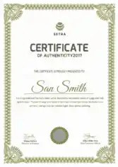 Company Certificate of Authenticity Template
