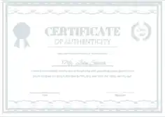 Free Download PDF Books, Company Name Authenticity Certificate Template