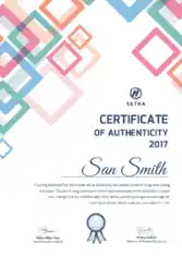 SETRA Certificate of Authenticity Template