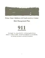 Child Care Risk Management Plan Sample Template
