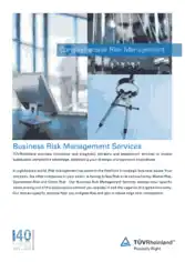 Free Download PDF Books, Comprehensive Risk Management Template