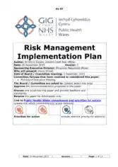 Risk Management and Implementation Plan Template