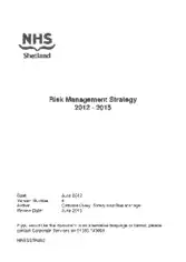 Free Download PDF Books, Risk Management Strategy Plan Template