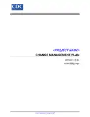 Change Management Project Plan Example Template