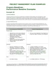 Project Management Plan Example Template