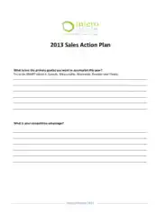 2013 Sales Action Plan Template