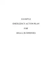 Sample Emergency Action Plan For Small Business Template
