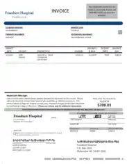 Free Download PDF Books, Simple Medical Invoice Template