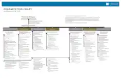 Blank Organizational Chart Sample Template