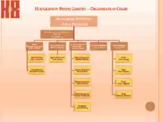 Free Download PDF Books, Business Structure Organizational Chart Template