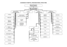 Free Download PDF Books, Corporate Hospital Organizational Chart Template