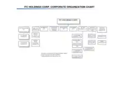 Free Download PDF Books, Holdings Corporate Organizational Chart Template