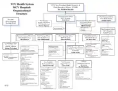 Hospital Health System Organizational Chart Template